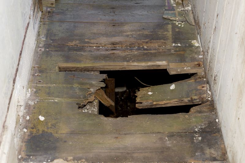 Rot Repair