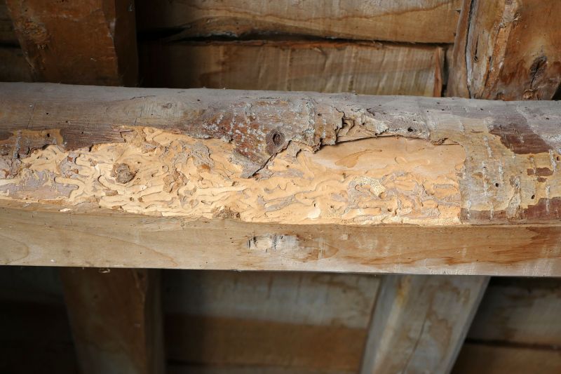 Decay Repair Service in Olathe, KS