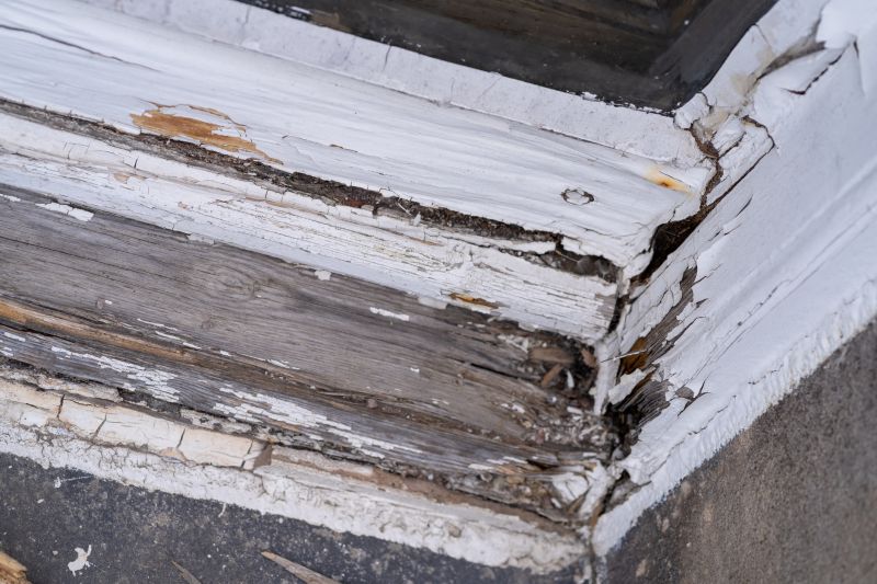 Decay Repair Service in Denver, CO