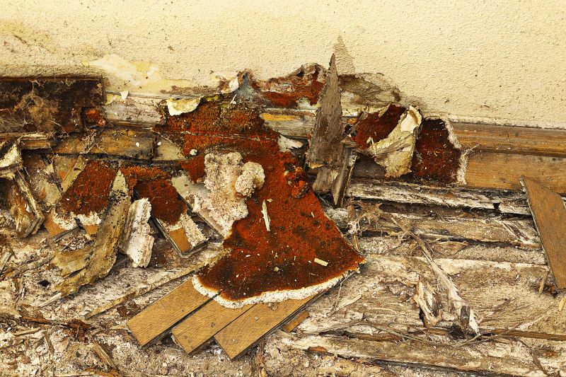 Decay Repair Service in Kansas City, KS