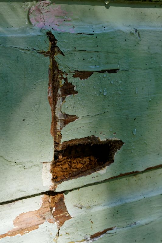 Decayed Wood Replacement in Boulder, CO
