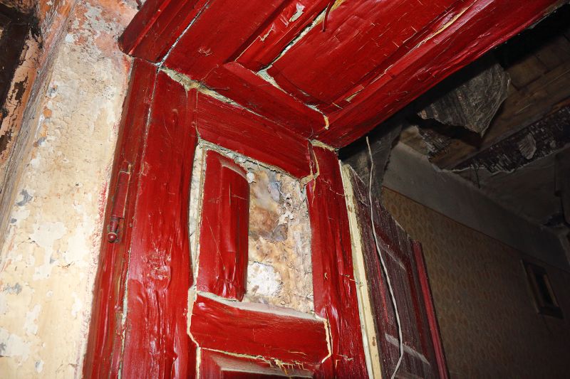 Rot Repair Service in Denver County, CO