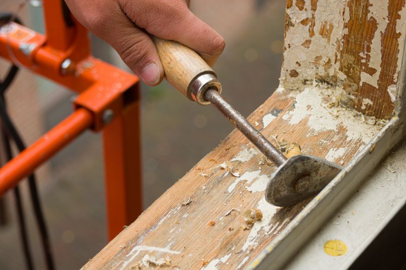 Rot Repair Service in Conroe, TX