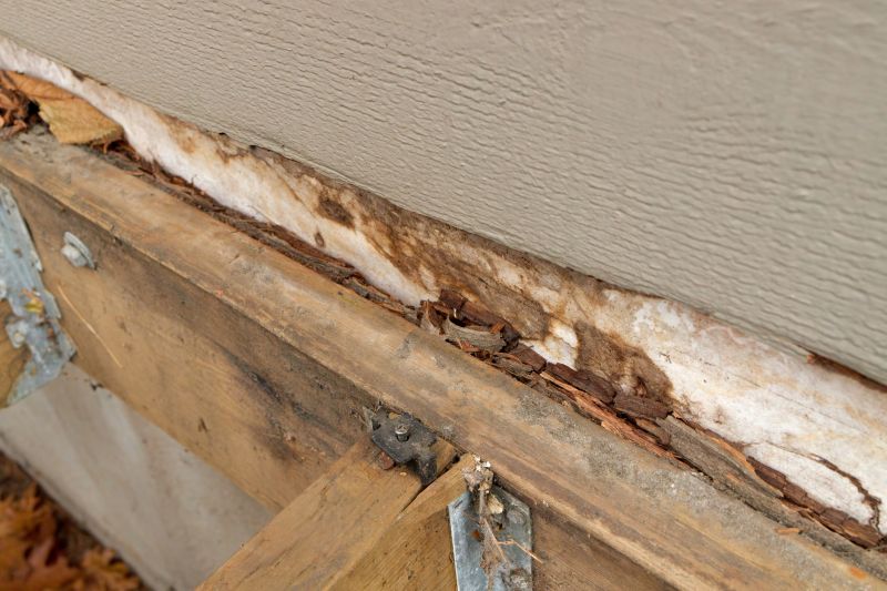 Rotten Wood Repair in Conroe, TX
