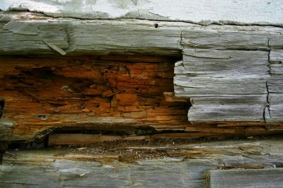 Rotten Wood Repair in Olathe, KS