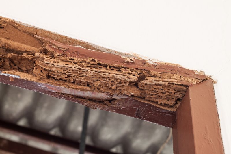 Structural Rot Repair in Arvada, CO