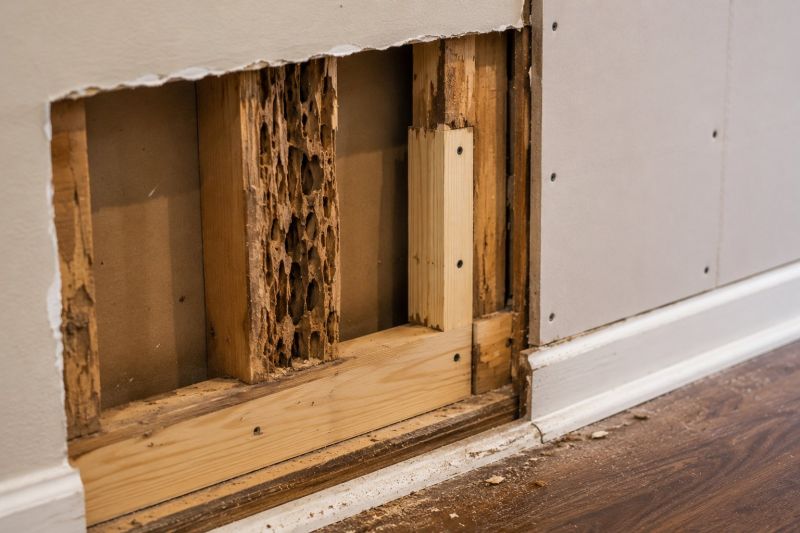 Termite Damage Restoration in Kansas City, KS