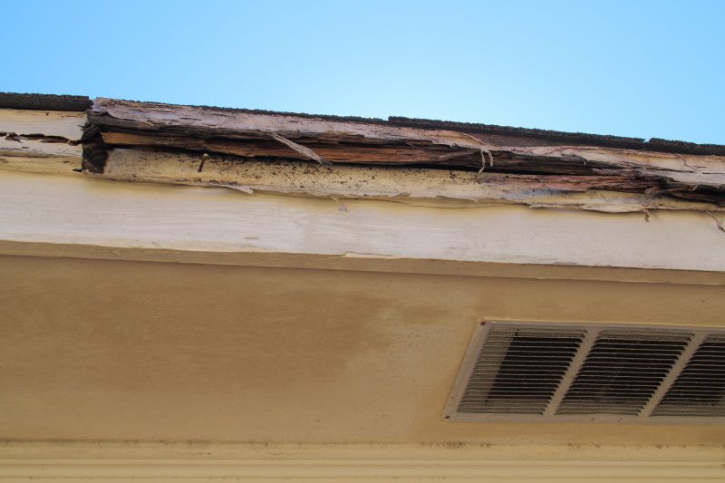 Termite Damage Restoration in Denver, CO