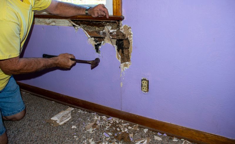 Termite Damage Restoration in Denver County, CO