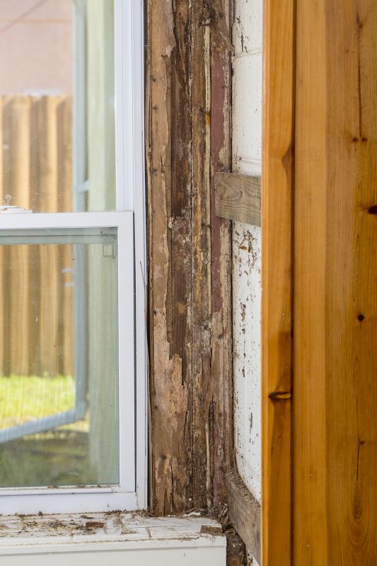 Window Rot Repair in Indianapolis, IN