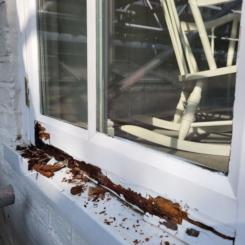 Window Rot Repair in Denver, CO