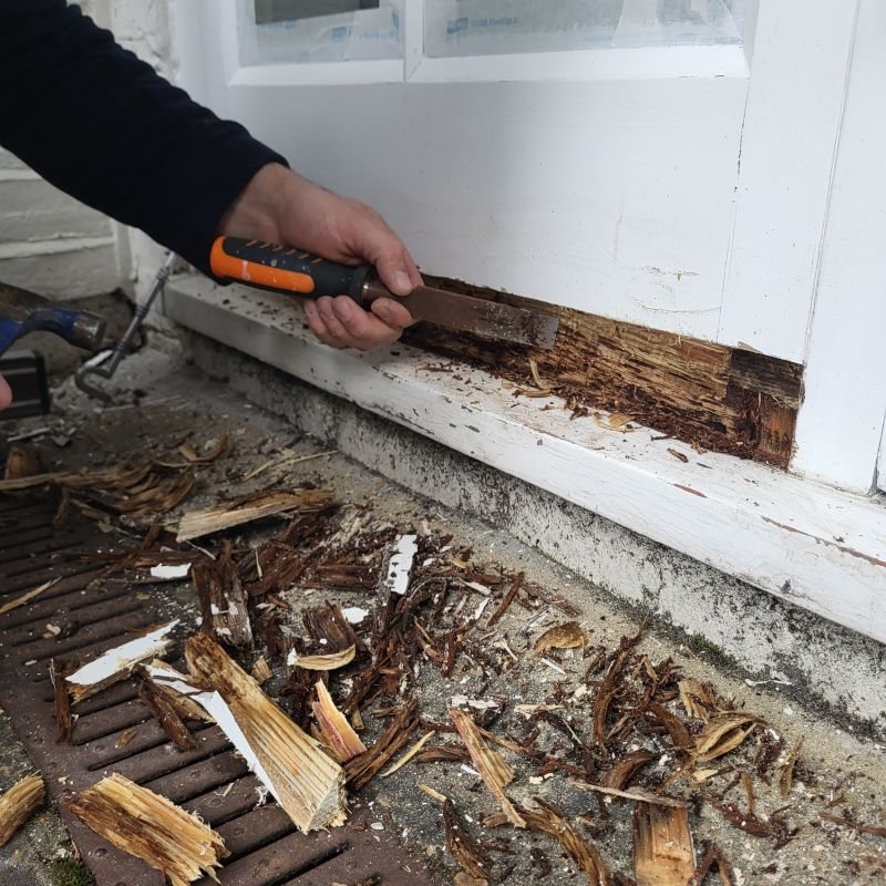 Wood Rot Removal in Overland Park, KS