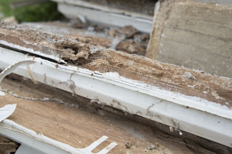 Dry Rot Remediation in Conroe, TX