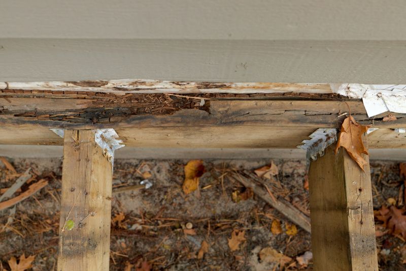 Dry Rot Repair in Longmont, CO