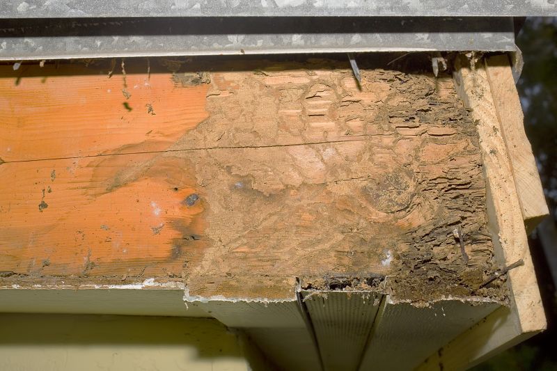 Dry Rot Repair in Roswell, GA