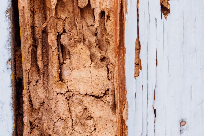 Rotten Wood Repair in Olathe, KS