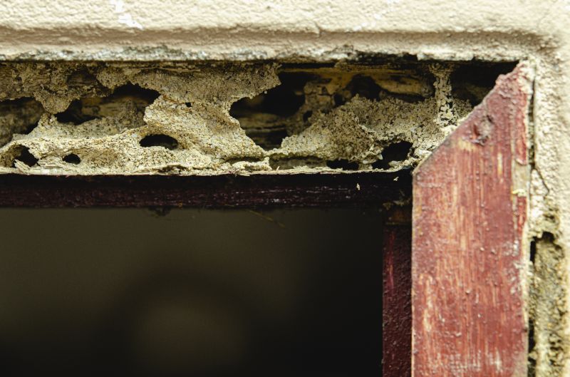 Wood Rot Removal in Wilmington, NC